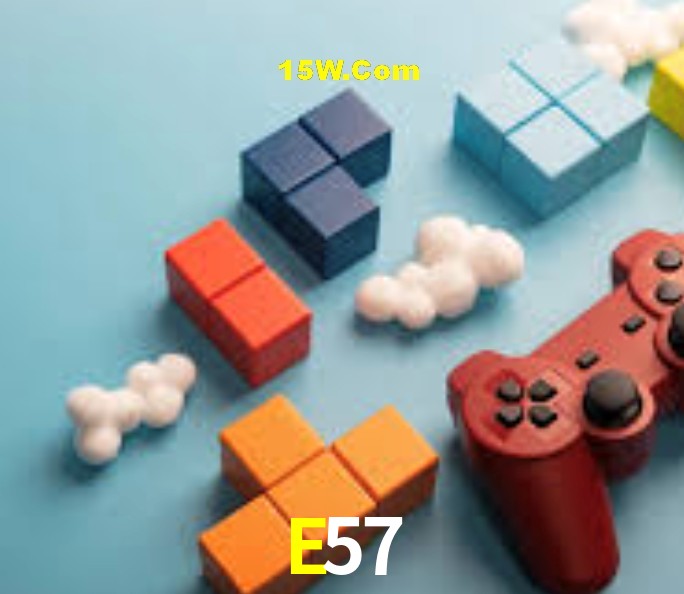 Login Seguro E57